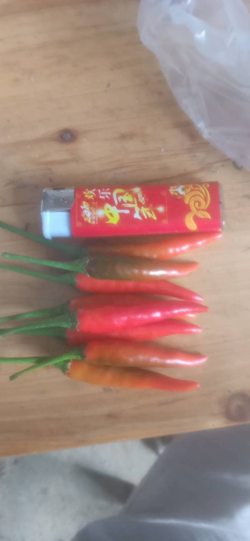 辣椒！艳红椒！小米椒！
