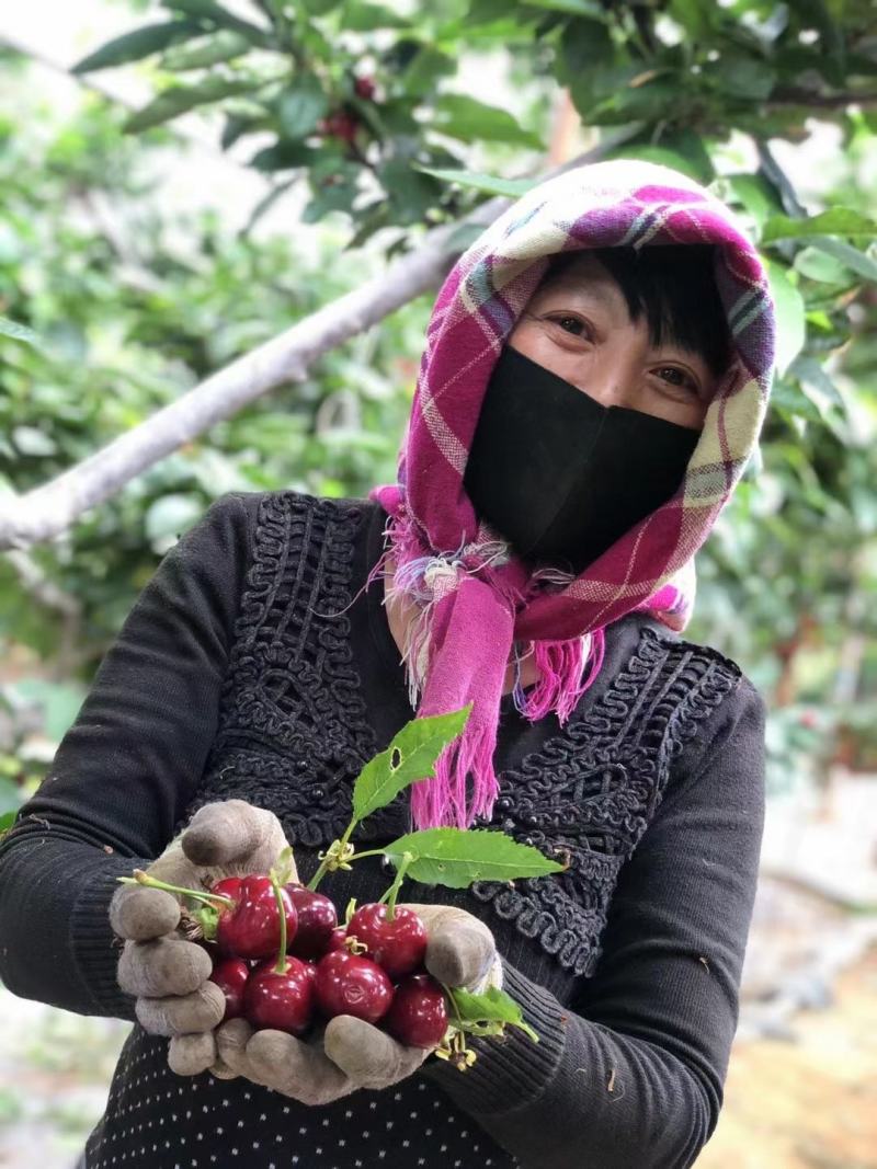 深海鱼蛋白（提升产量提升品质）用肥料英芙莱