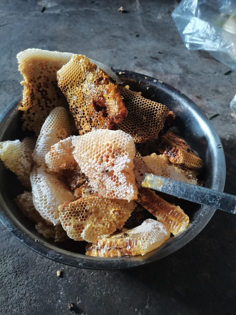 高黎贡山原始森林土蜂蜜