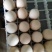 孔雀蛋，食用孔雀蛋没有受精的孔雀蛋，食用孔雀蛋没有
