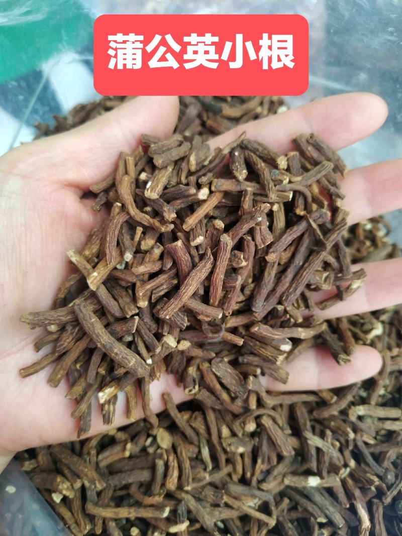【超低价批发!长白山炒制蒲公英根茶】无提取味道香真好喝!