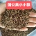 【超低价批发!长白山炒制蒲公英根茶】无提取味道香真好喝!