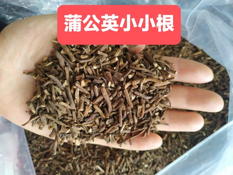 【超低价批发!长白山炒制蒲公英根茶】无提取味道香真好喝!