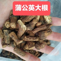 【超低价批发!长白山炒制蒲公英根茶】无提取味道香真好喝!