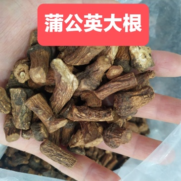 【超低价批发!长白山炒制蒲公英根茶】无提取味道香真好喝!