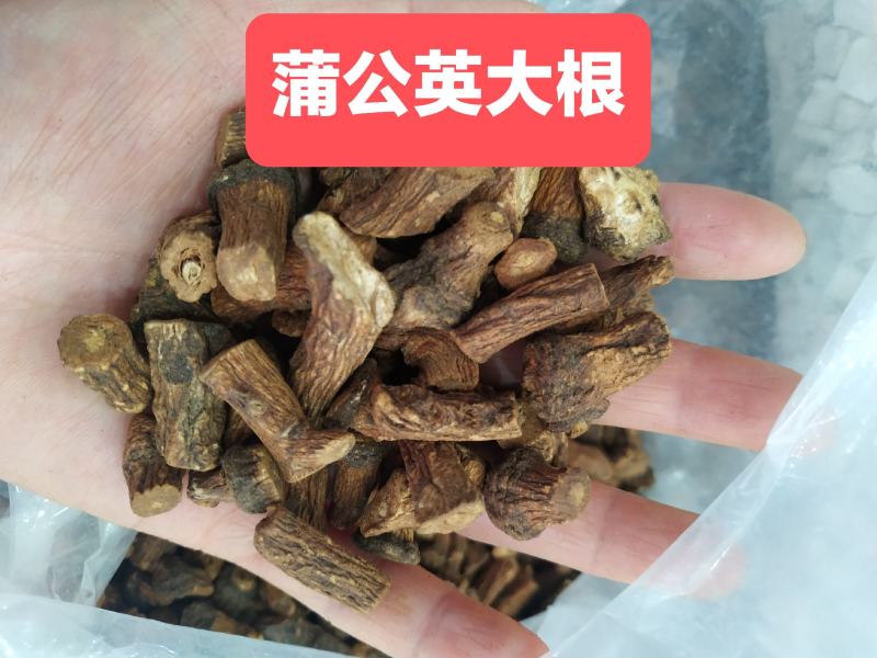【超低价批发!长白山炒制蒲公英根茶】无提取味道香真好喝!