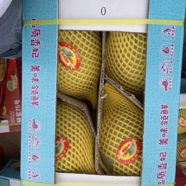 新疆吐鲁番25号哈密瓜火焰山脚底下，大量供应