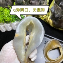 水鱼群、海鲜干货大量批、水鱼群边酒店专用煲汤滋补食材