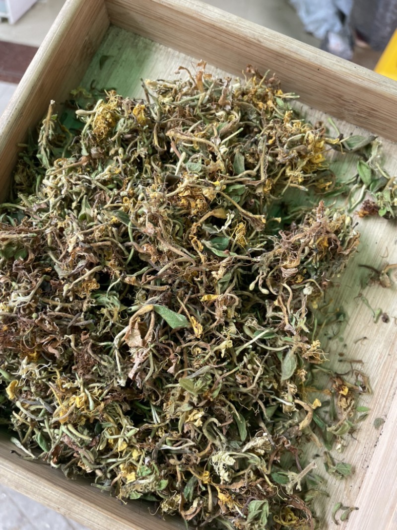 野生金银花，