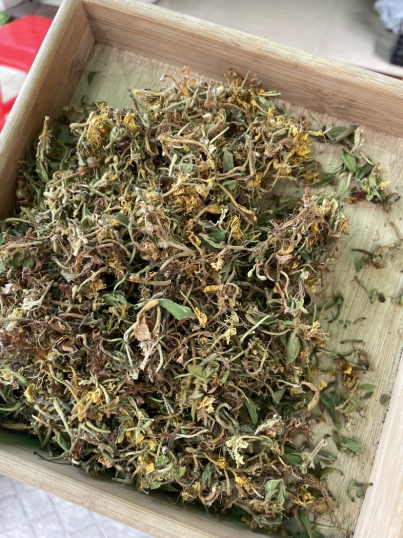 野生金银花，