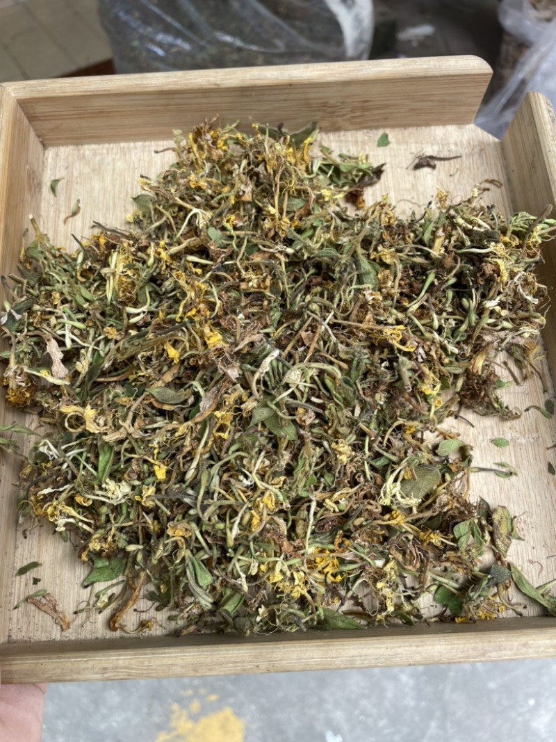 野生金银花，
