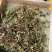 野生金银花，