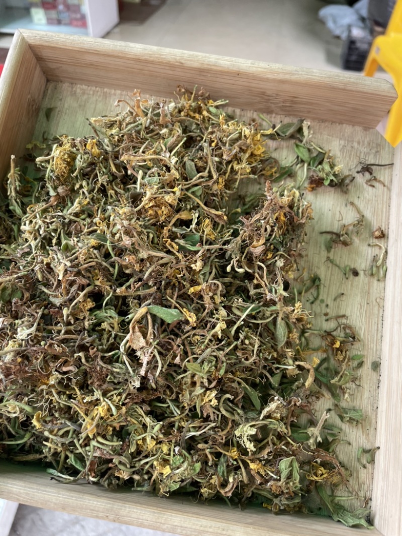 野生金银花，
