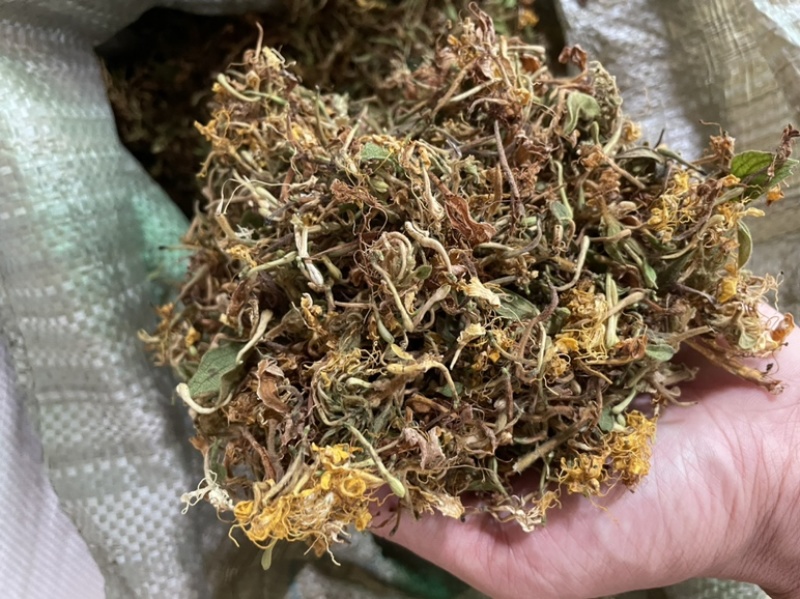 野生金银花，