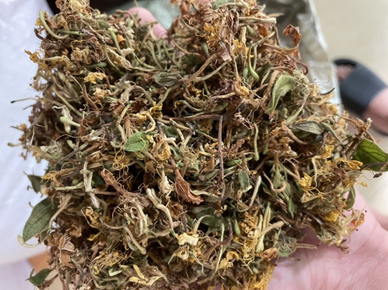 野生金银花，