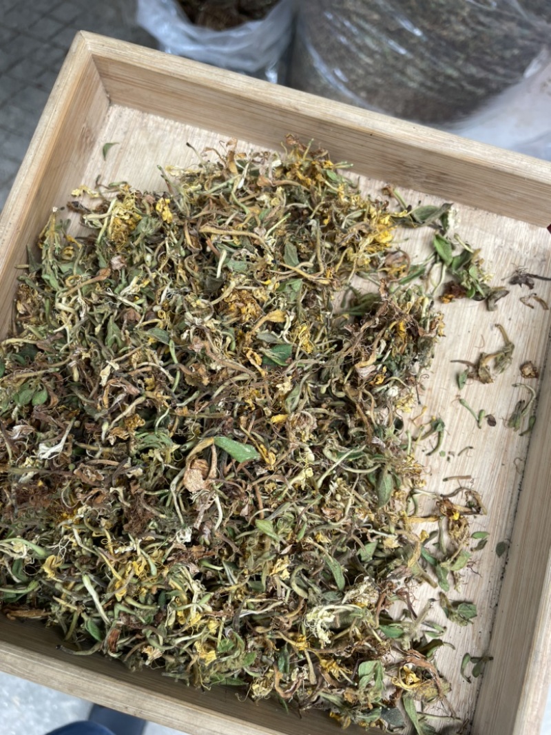 野生金银花，