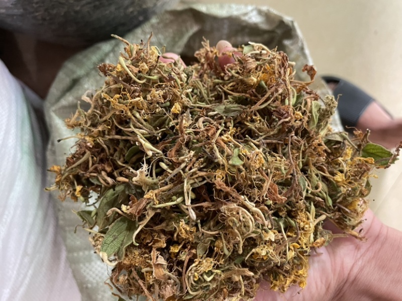 野生金银花，