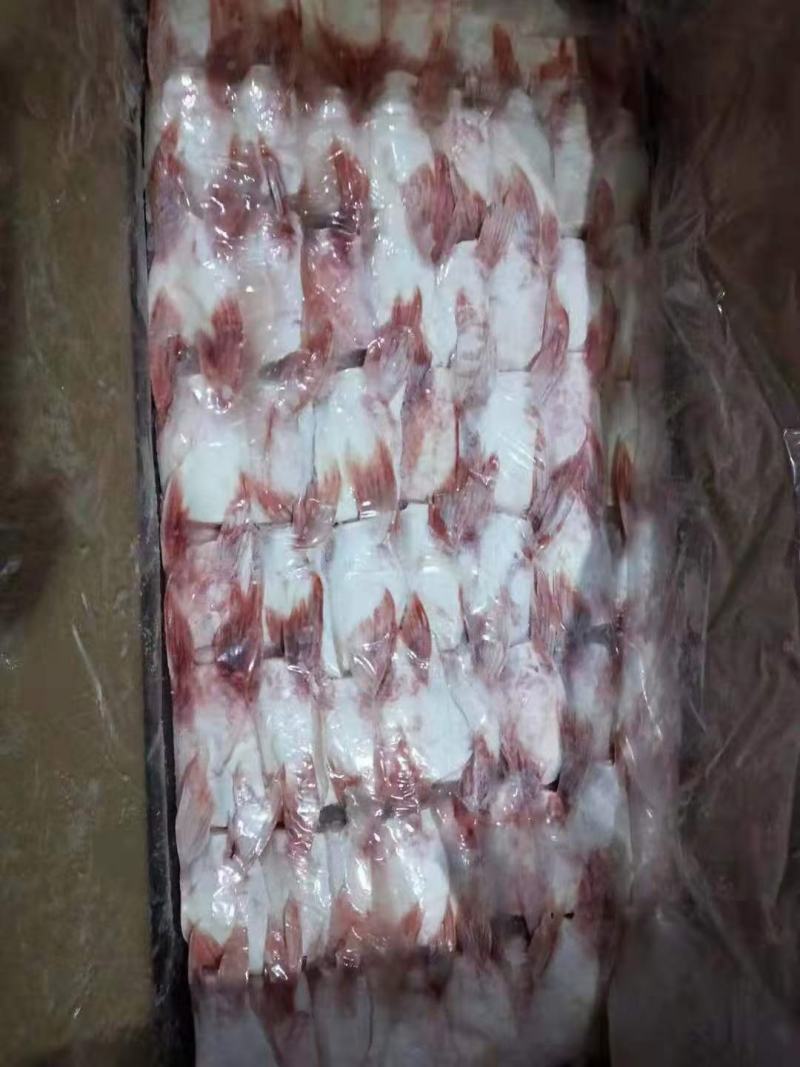 巴沙鱼鳍，每天两柜发往全国各地，有需要的老板欢迎咨询