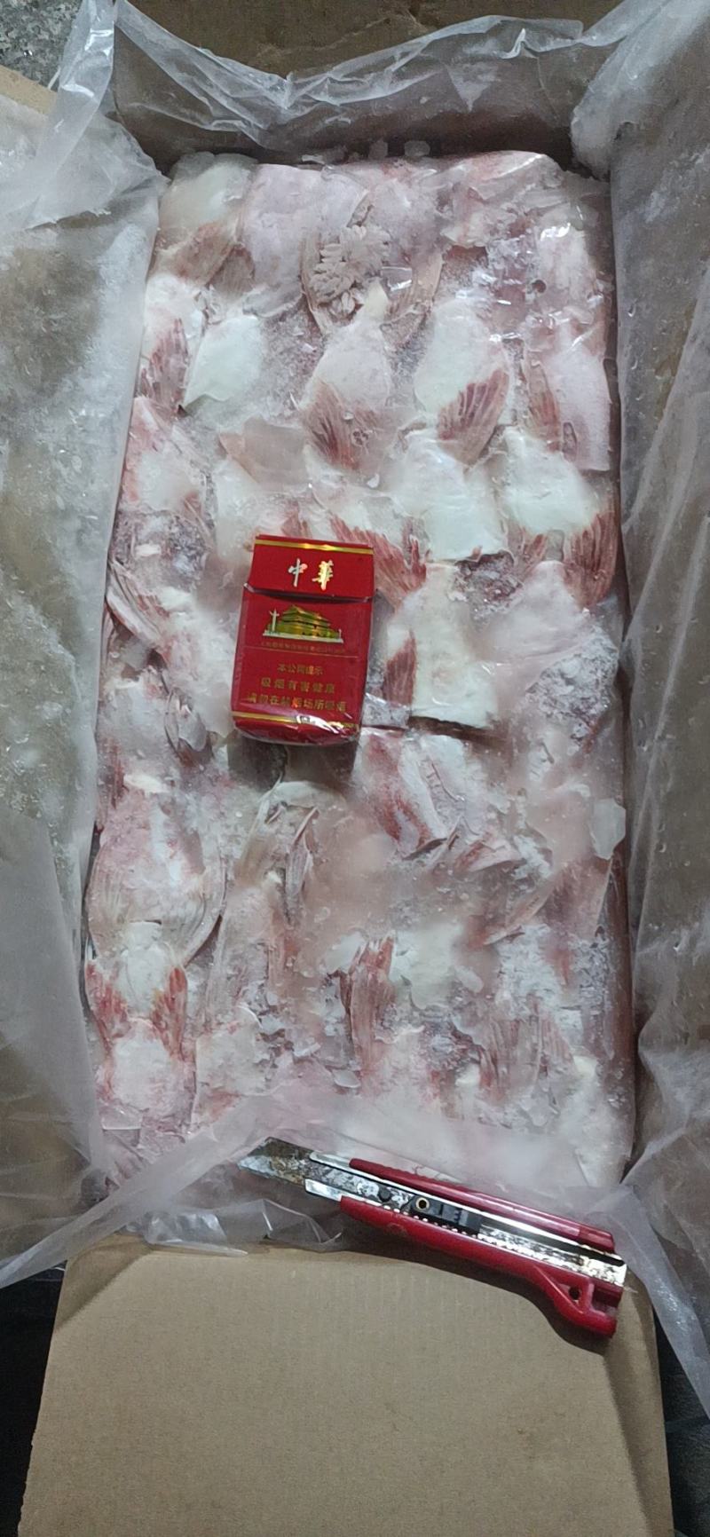 巴沙鱼鳍，每天两柜发往全国各地，有需要的老板欢迎咨询