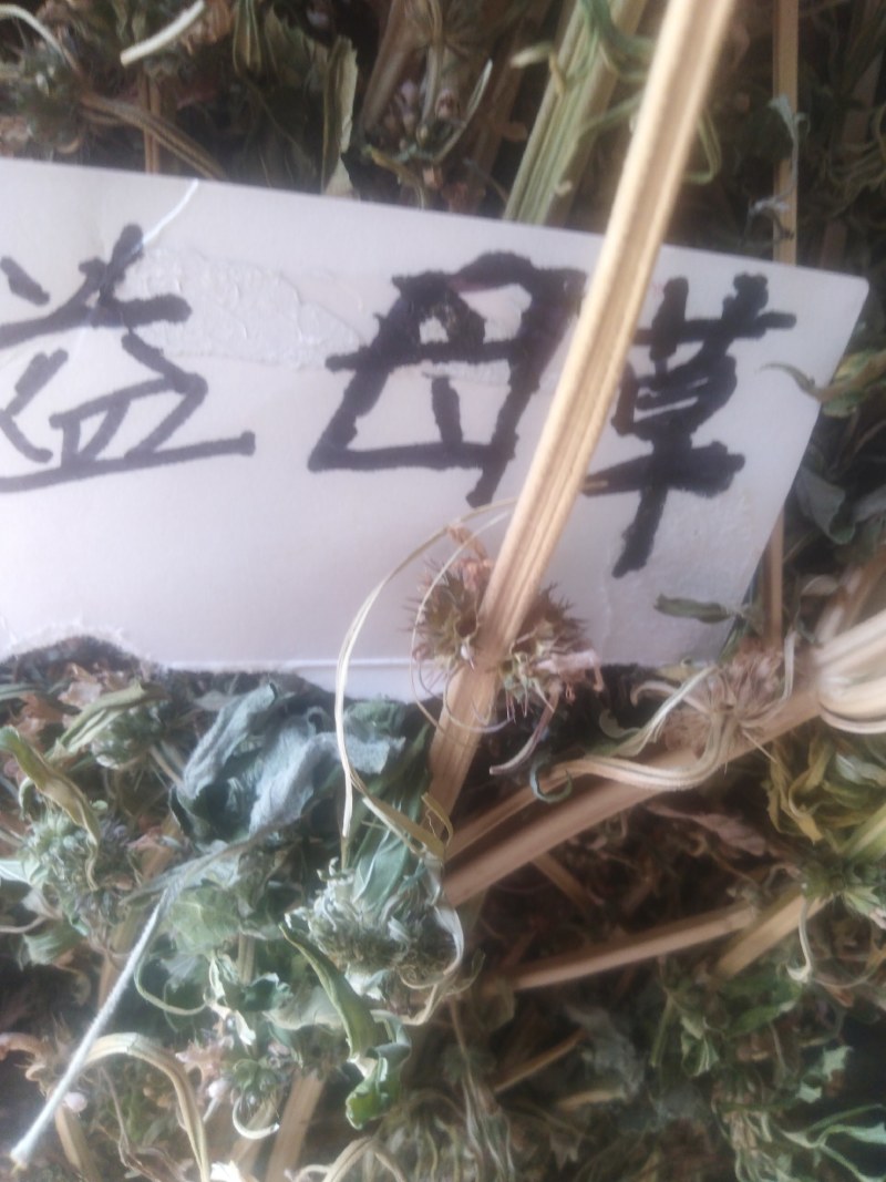 益母草，野生益母草干品，不切段的，，保证质量，长期有货，