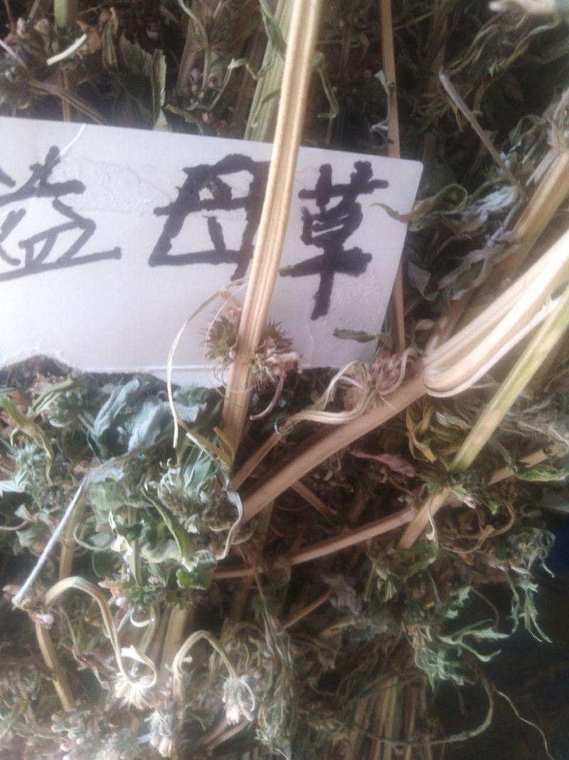 益母草，野生益母草干品，不切段的，，保证质量，长期有货，