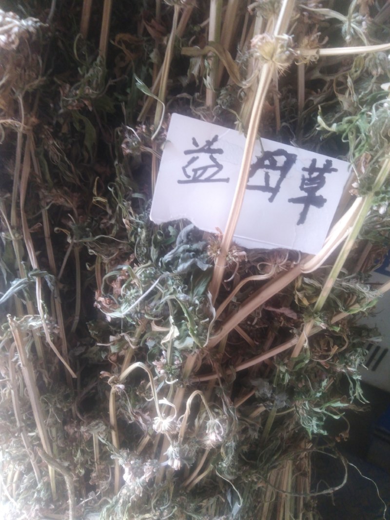 益母草，野生益母草干品，不切段的，，保证质量，长期有货，