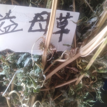益母草，野生益母草干品，不切段的，，保证质量，长期有货，