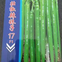 壮椒辣妹孑17线椒种子，产量高，价格美丽，欢迎选购