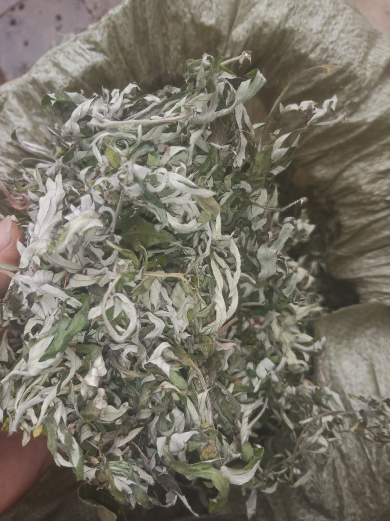 艾叶纯叶山东临沂产地直销干净无杂质颜色青绿色
