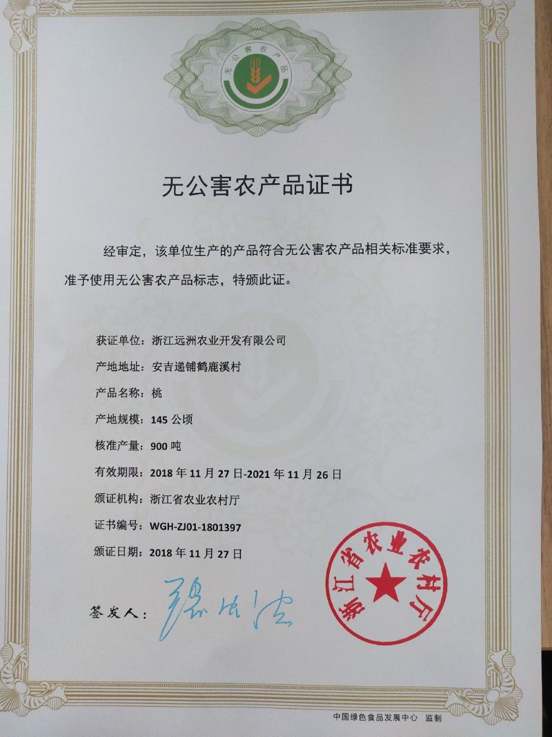 锦绣黄桃半斤以上8个装礼盒
