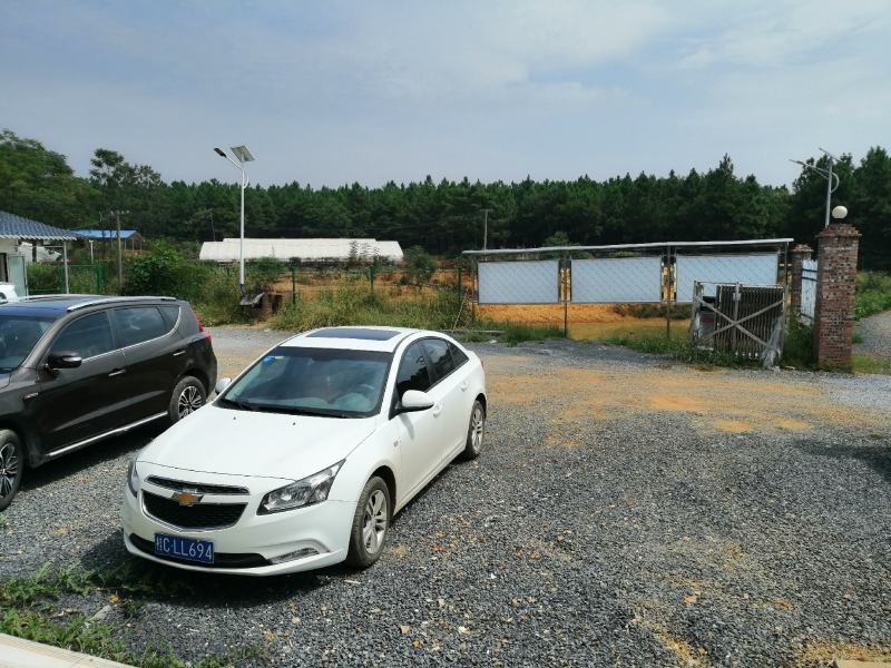 农场（衡阳市湘黄鸡生态养殖示范基地）合作转让租赁