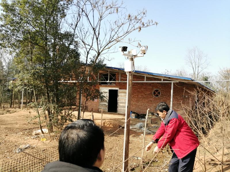 农场（衡阳市湘黄鸡生态养殖示范基地）合作转让租赁