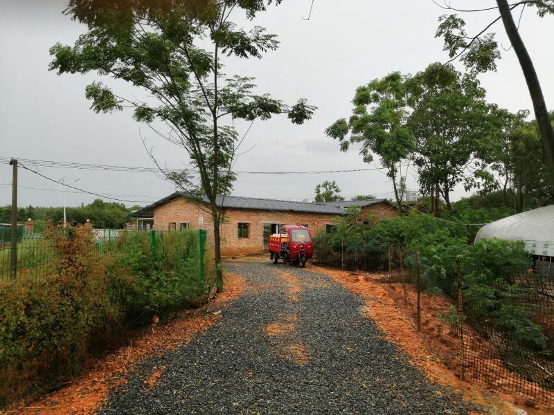 农场（衡阳市湘黄鸡生态养殖示范基地）合作转让租赁