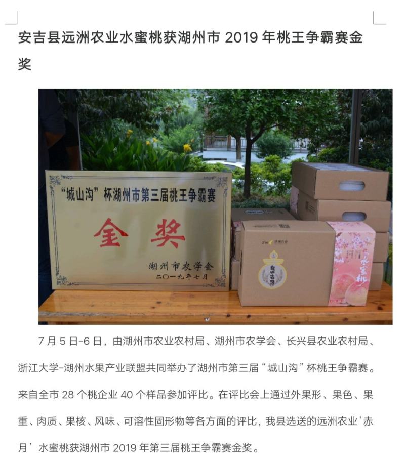 (基地直供)赤月湖景雨露水蜜桃4两以上12个装