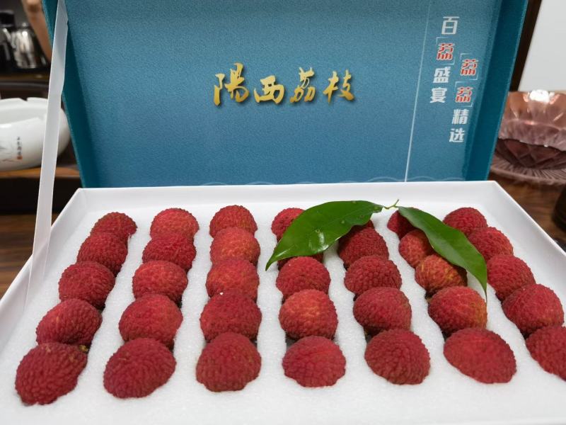 广东省阳江市阳西县红蜜荔精品荔枝