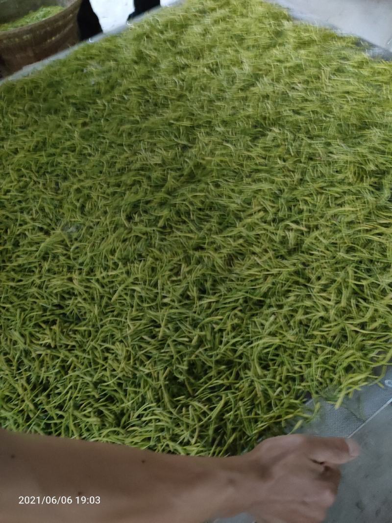 金银花