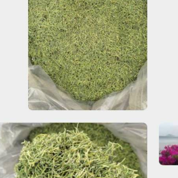 金银花