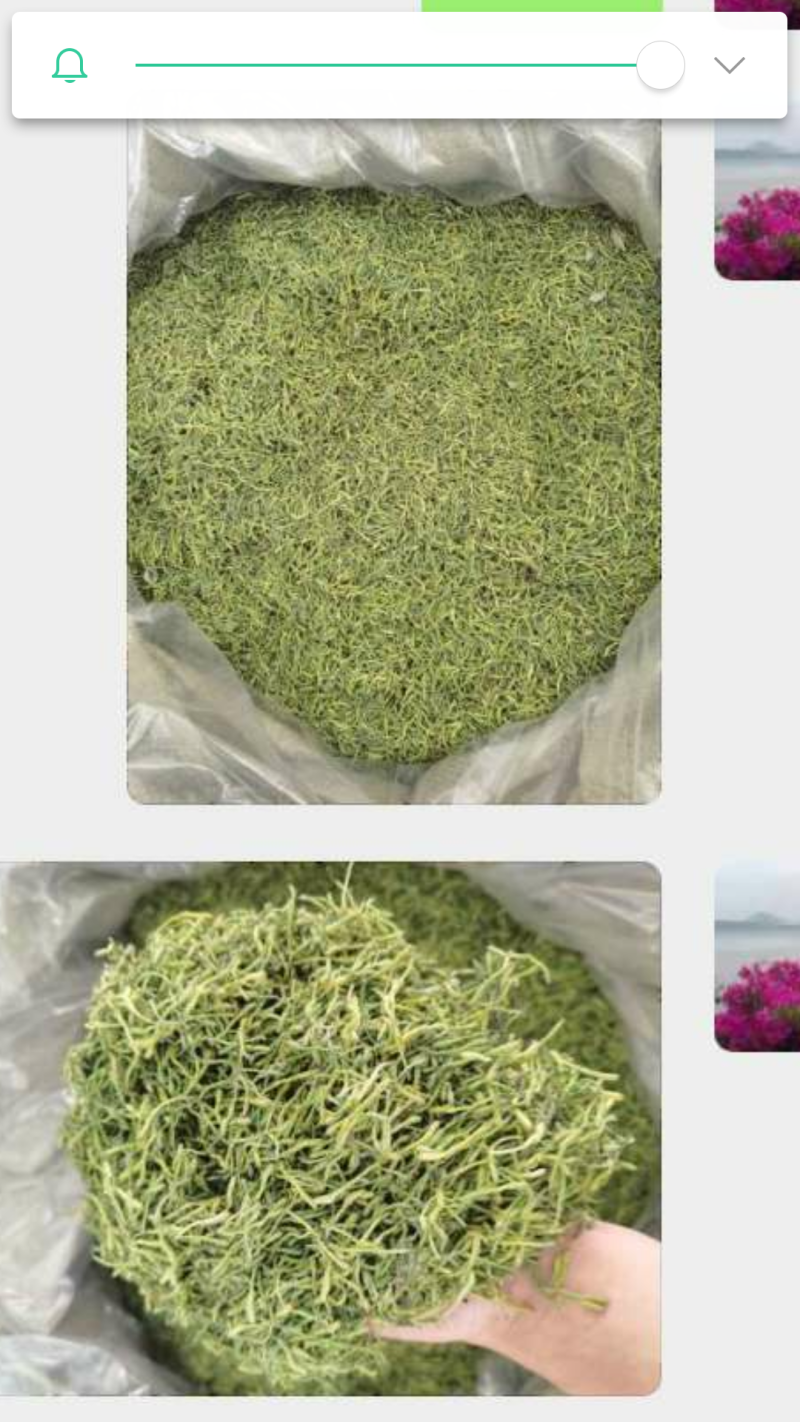 金银花