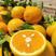 橙子夏橙大量地头供应中皮薄汁多口感甜带叶鲜果