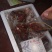 河北琅昆鸽业常年供应鸽系列产品～～