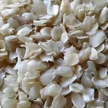 【热销中】梁河县皂角米，俗称植物燕窝，营养价值高。
