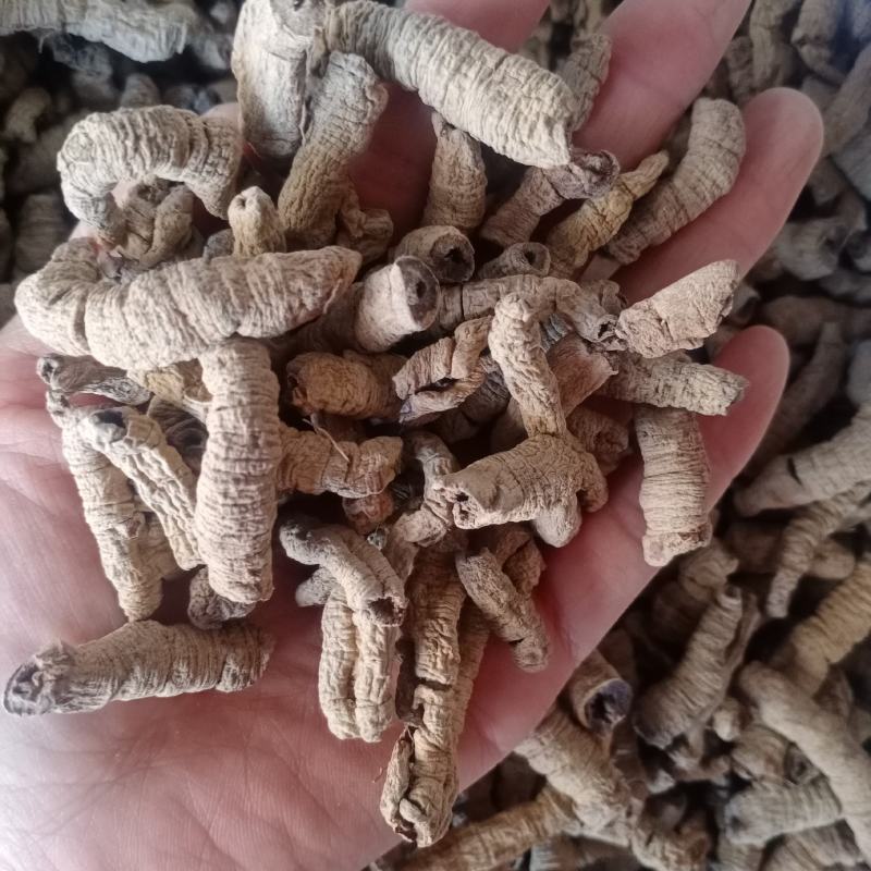 巴戟天，巴戟肉，各种等级，各种中药材,药材批发