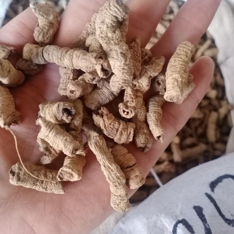 巴戟天，巴戟肉，各种等级，各种中药材,药材批发