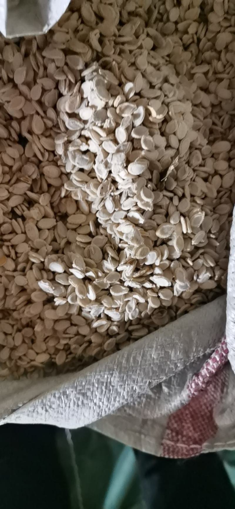 双边冬瓜子单边冬瓜籽新货颗粒饱色白无异味自然凉晒大货供应