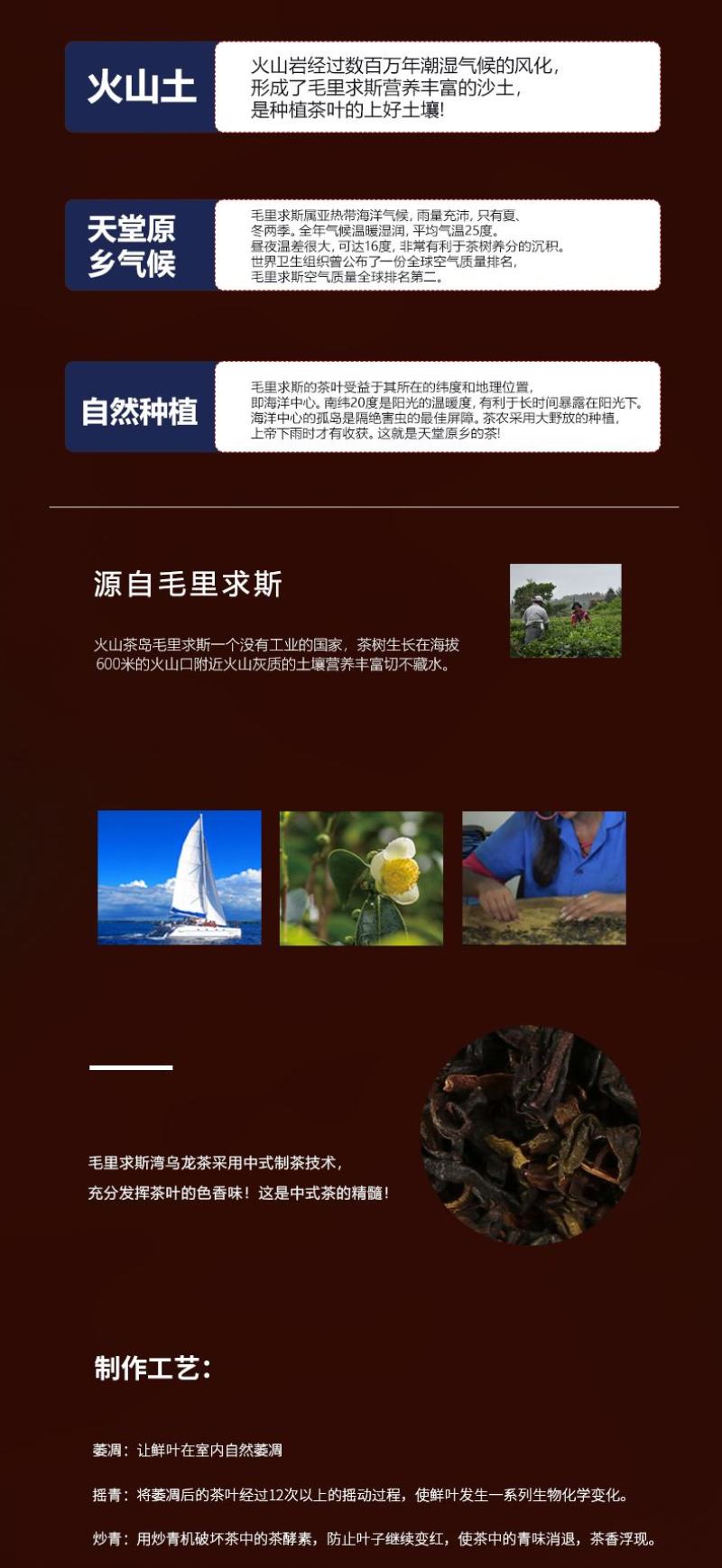 毛里求斯湾章鱼1（乌龙茶）80克/罐