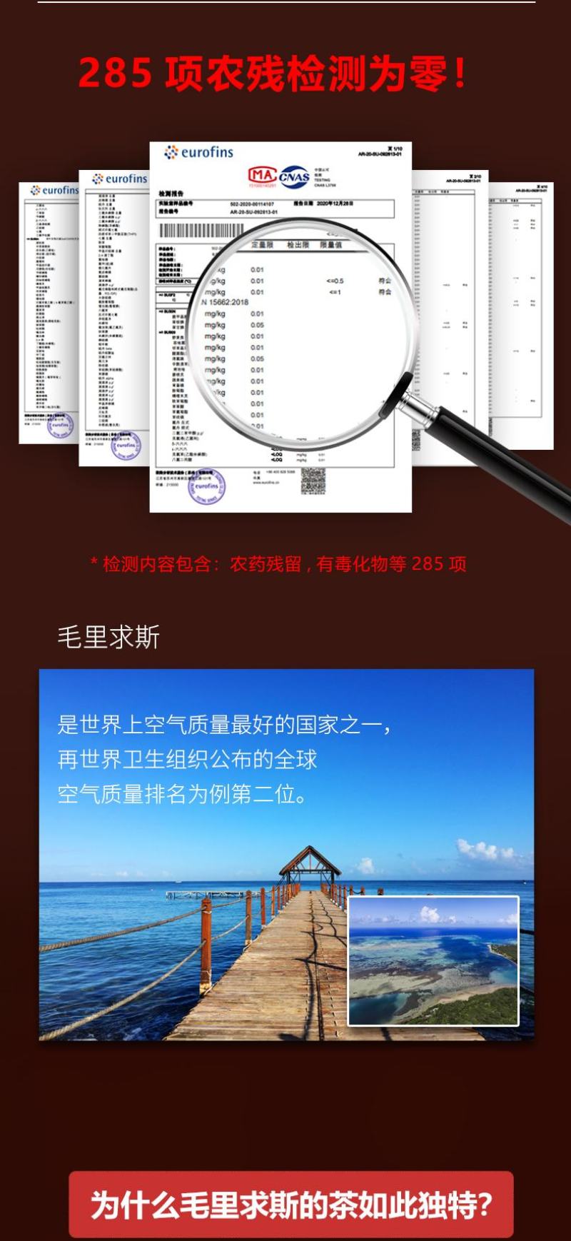毛里求斯湾章鱼1（乌龙茶）80克/罐