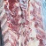 牛羽排骨国产新鲜货！口感佳，带肉率高，煮熟实拍
