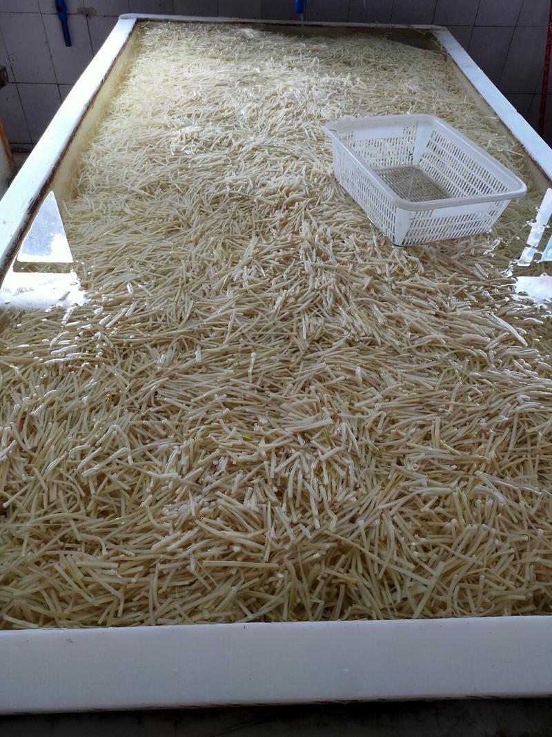 整箱20斤新鲜脆笋丝笋片鱼香肉丝配用笋丝春笋