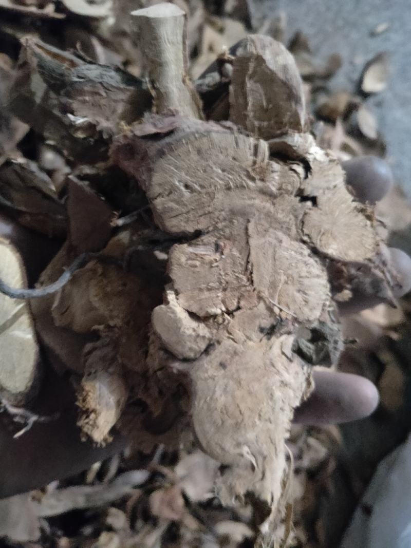 金樱子产地销量大货好代抓各种中药方