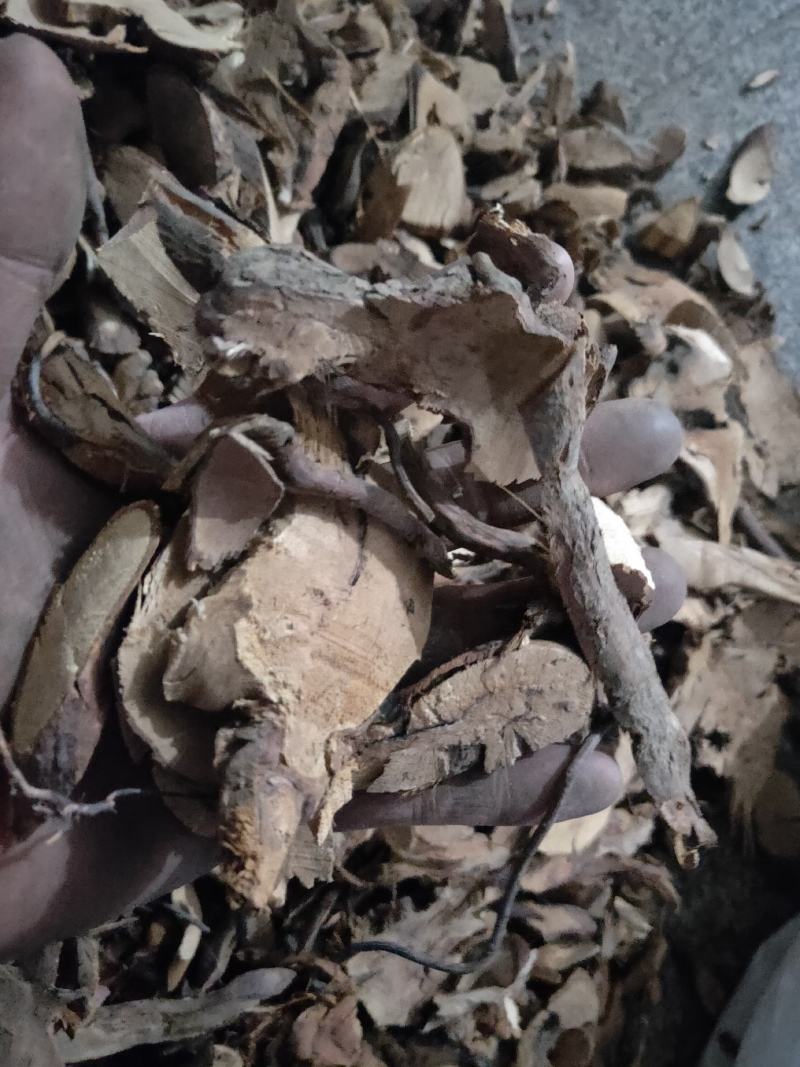 金樱子产地销量大货好代抓各种中药方